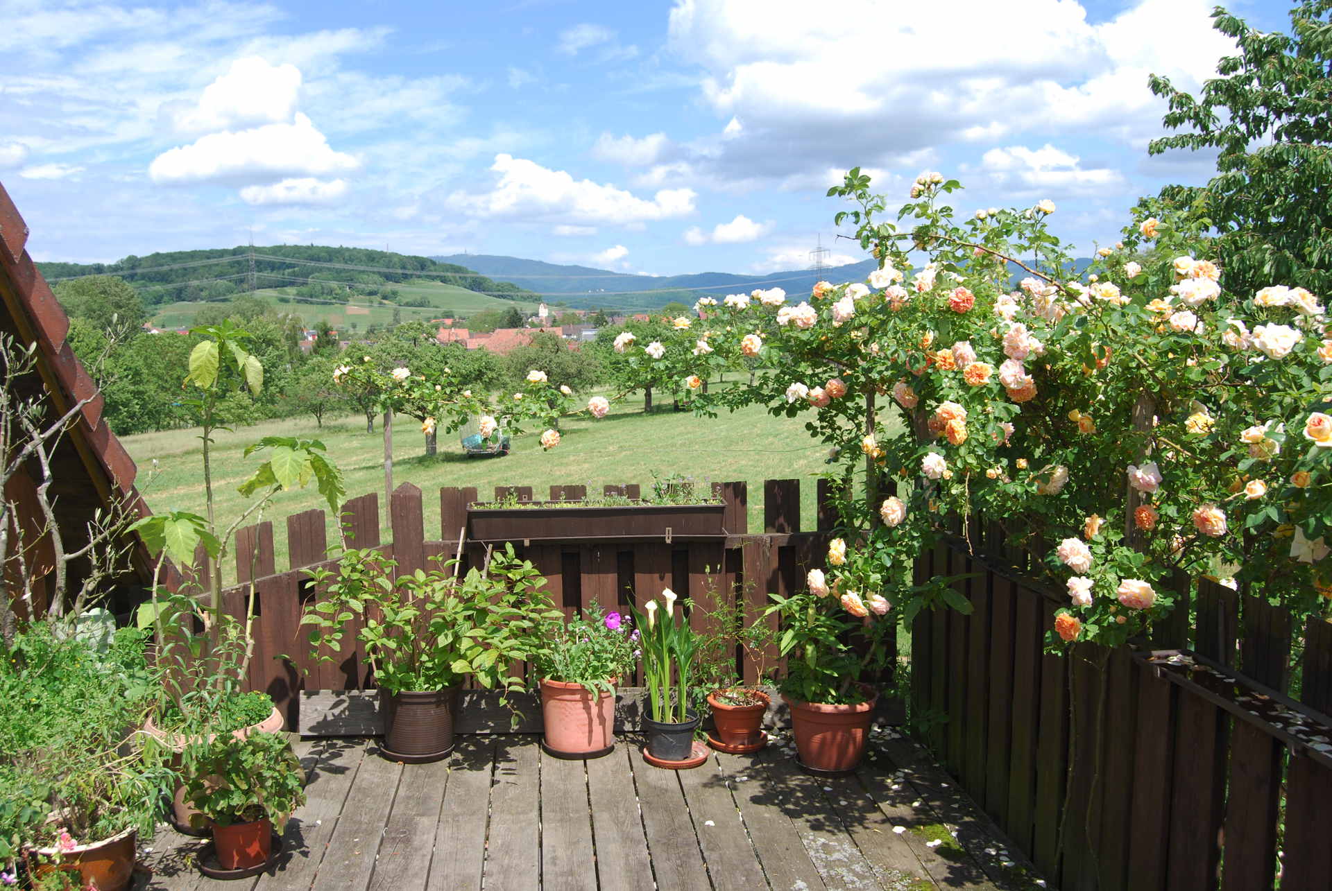 Startseite Slideshow DSC_1642_1920x1285