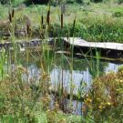 Gesundheitswoche – Entschlacken, Loslassen, Entspannen