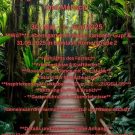 Gründungsfest    Lebensgarten Erdweg (e.V.) Verein zur Förderung von Natur und Mensch