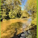 LAAE`PAASH vertiefendes Seminar