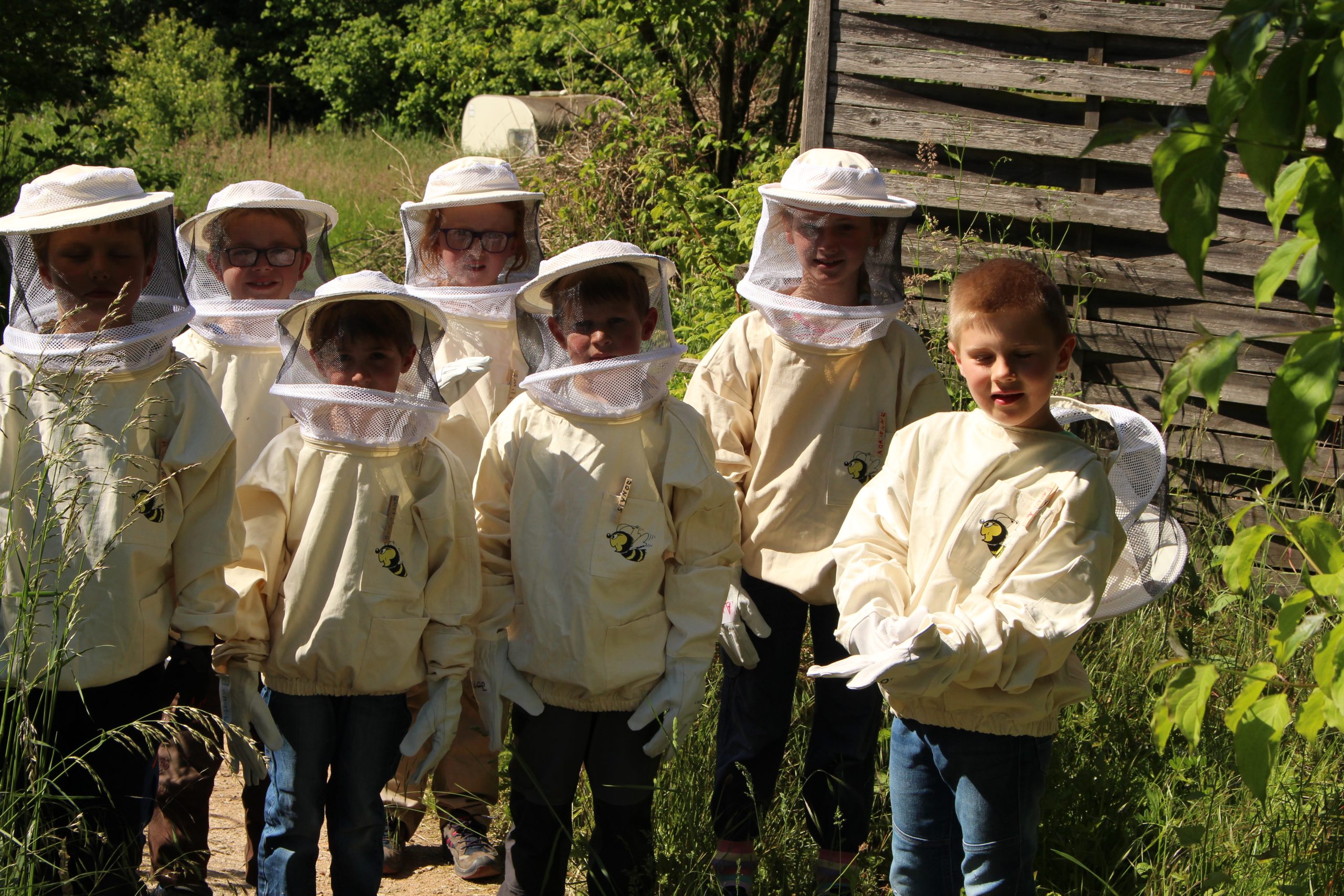 Die Bienenforscher