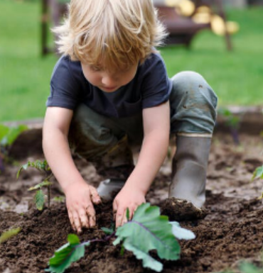 Gärtnern für Kinder