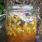 Oxymel – Vortrag und Workshop